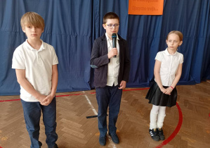 Zdjęcie 13 na 17