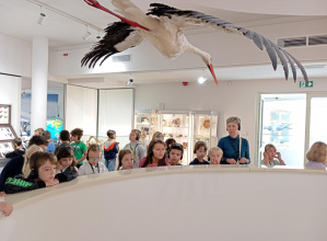 Muzeum Przyrodnicze Uniwersytetu Łódzkiego